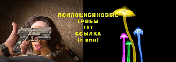 прущий лед Чердынь