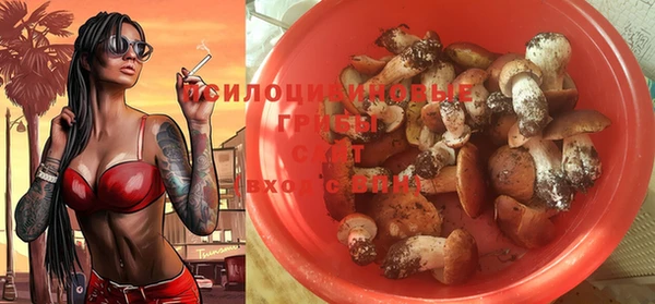 ПСИЛОЦИБИНОВЫЕ ГРИБЫ Чегем