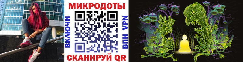 Псилоцибиновые грибы Psilocybe  Усолье 
